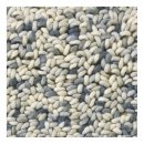 Tapis pure laine vierge STONE Brink & Campman gris clair